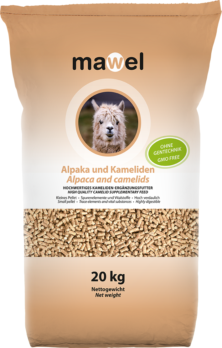 Mawel Alpaka und Kameliden